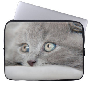 Katzenaugen Laptopschutzhülle
