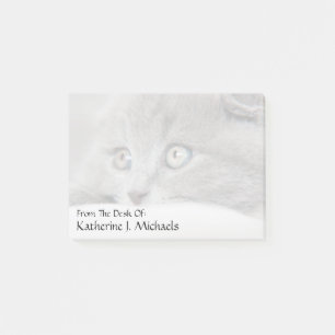 Katzenaugen Post-it Klebezettel