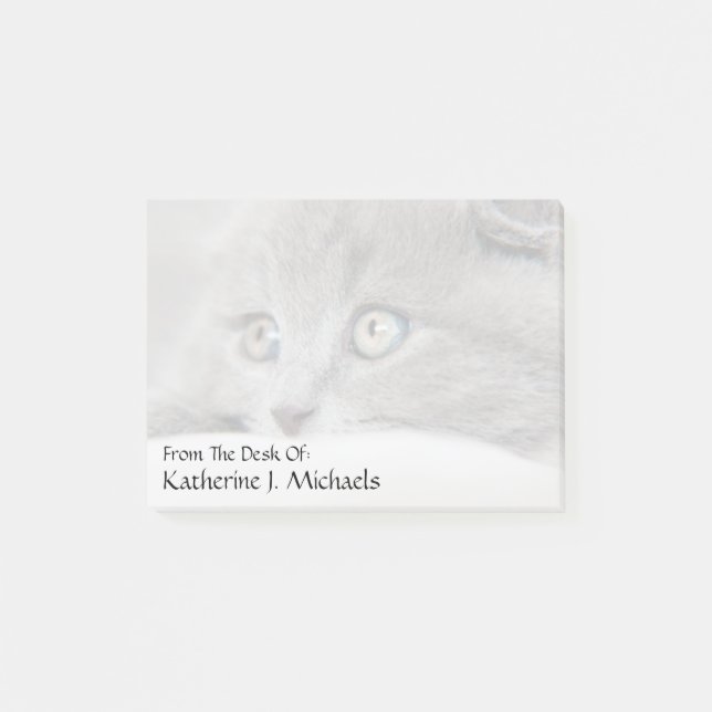 Katzenaugen Post-it Klebezettel (Vorderseite)