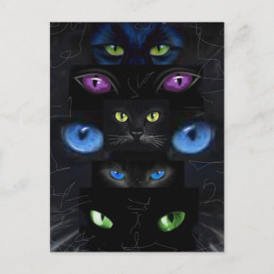 Katzenaugen Postkarte