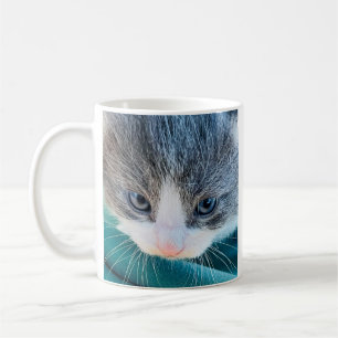 Katzenbecher, Morgenstimmung, Lustiger Becher Kaffeetasse