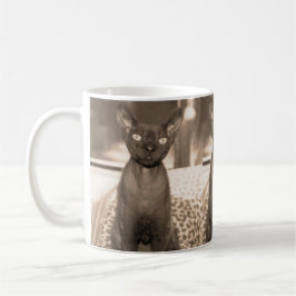 Katzenbecher Sepia-Devons Rex Tasse
