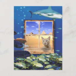 Katzenbeobachtung Fische unter dem Meer Postkarte