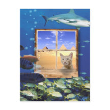 Katzenbeobachtung Fische unter dem Meer