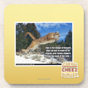 Katzenbild Getränkeuntersetzer