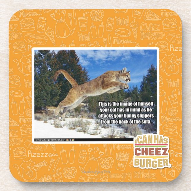 Katzenbild Getränkeuntersetzer (Vorderseite)