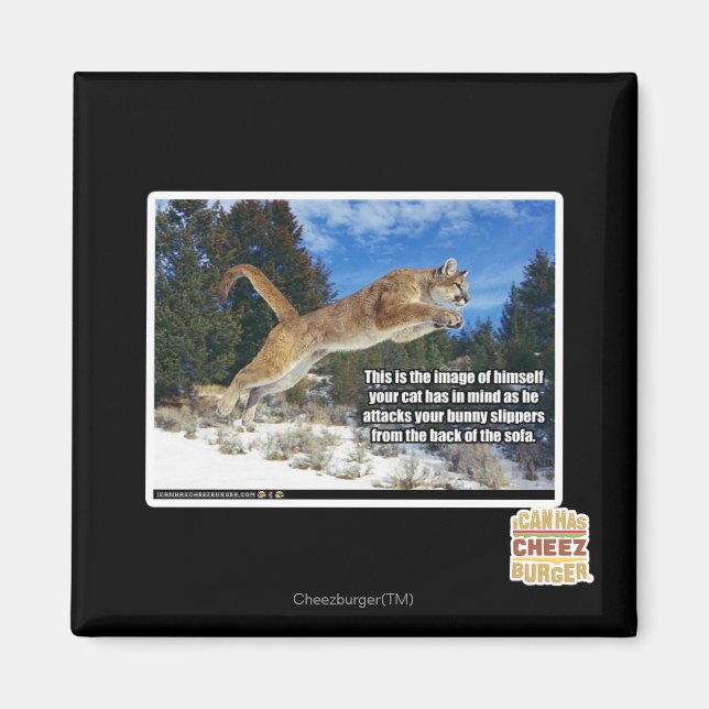 Katzenbild Magnet (Vorne)