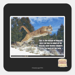 Katzenbild Quadratischer Aufkleber