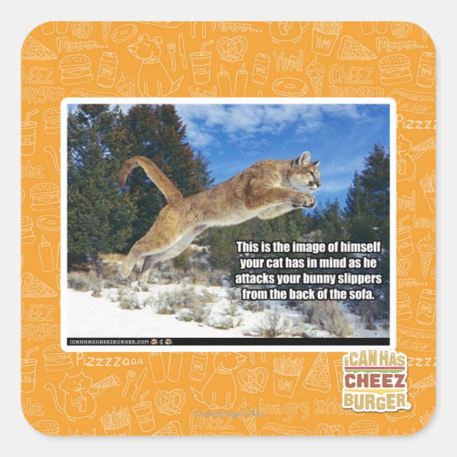 Katzenbild Quadratischer Aufkleber (Vorderseite)