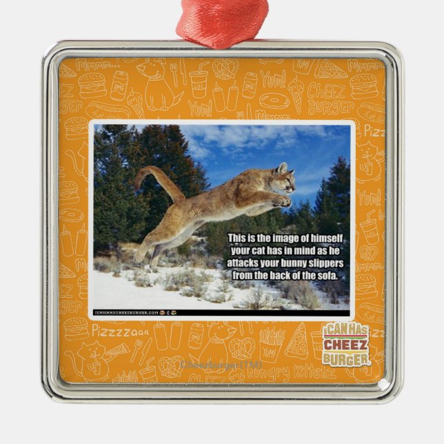 Katzenbild Silbernes Ornament (Vorne)