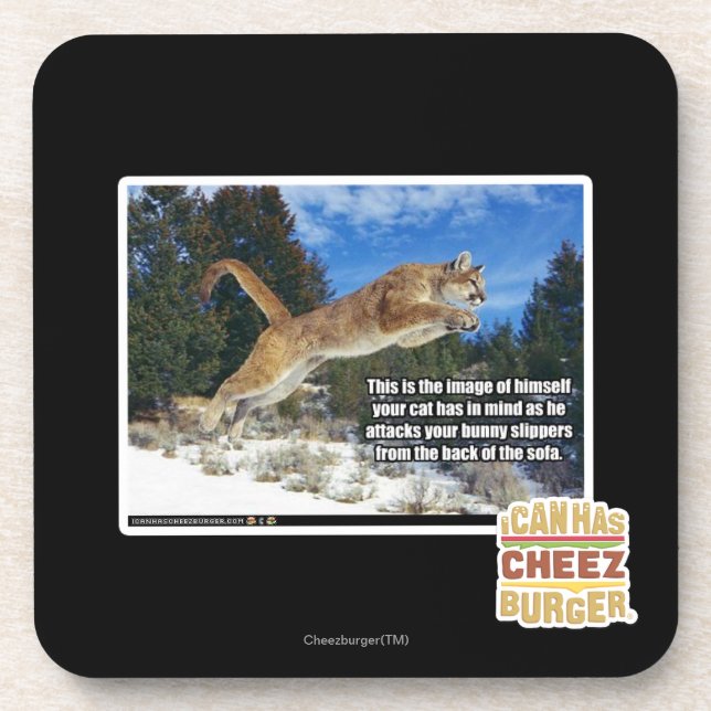 Katzenbild Untersetzer (Vorderseite)