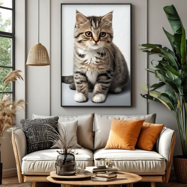 Katzenblick in der Zeit verloren Poster (Von Creator hochgeladen)