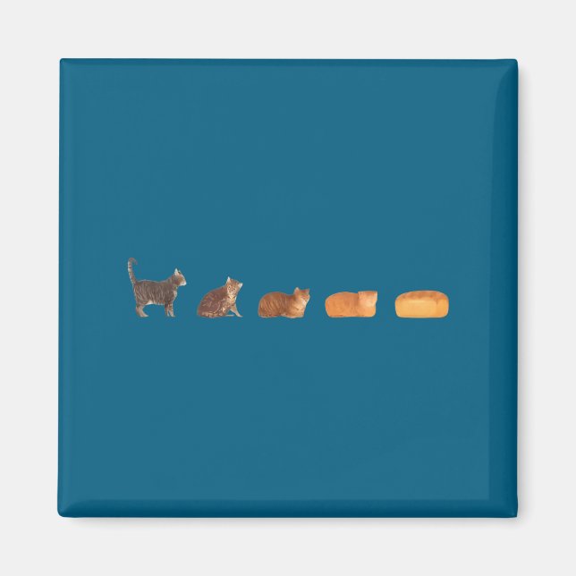 Katzenbrotlaib Evolution lustige Katzenmutter süße Magnet (Vorne)