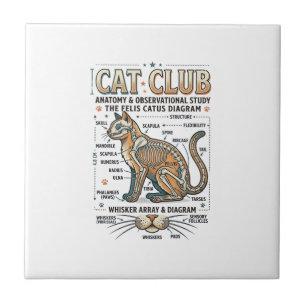 Katzenclub Katze Anatomie Wissenschaftliches Diagr Fliese