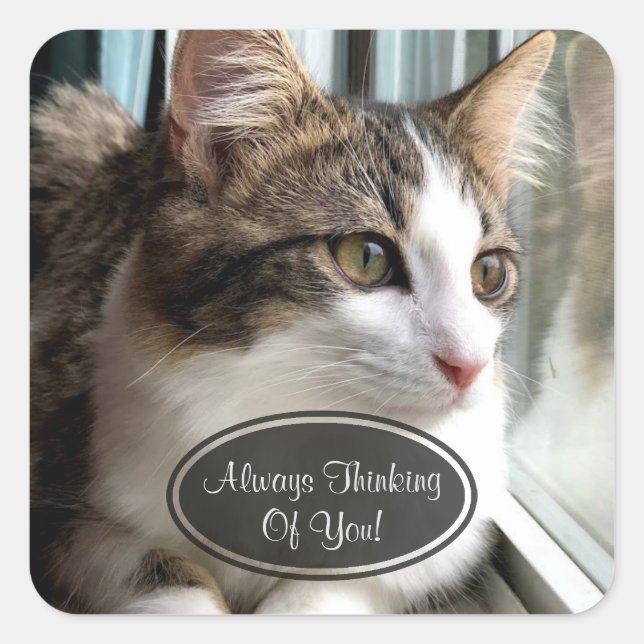 Katzendenken bei dir Aufkleber (Vorderseite)