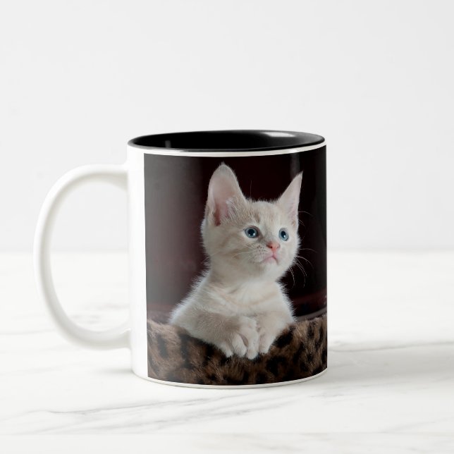 Katzendoppelte Tasse (Links)