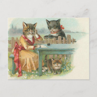 Katzenfamilien-Postkarte Postkarte