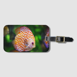 Katzenfisch  gepäckanhänger