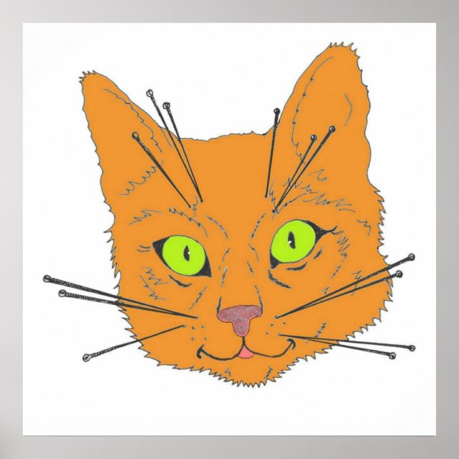 Katzenflüster Poster (Vorne)