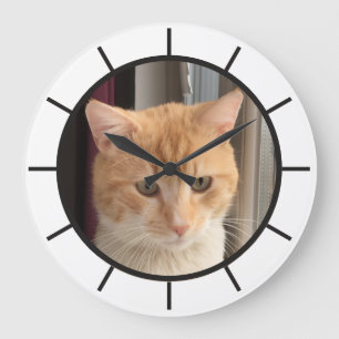 Katzenfoto, austauschbar, Lustig Große Wanduhr
