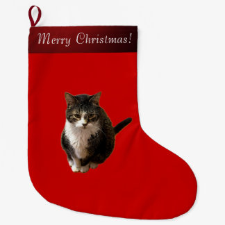 Katzenfoto Großer Weihnachtsstrumpf