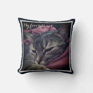 Katzenfoto, Katze, Haustiere, lustige Katze Kissen