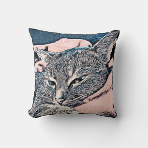 Katzenfoto, Katze, Haustiere, lustige Katze, Paste Kissen