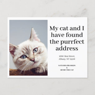 Katzenfoto Neue Adresse Ich Bin Umgezogen Modern Ankündigungspostkarte