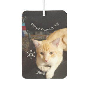 Katzenfoto Text, Anpassen, Frohes Neues Jahr 20XX, Autolufterfrischer