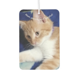 Katzenfoto-Text, Mama Fahre Vorsichtig, Anpassen, Autolufterfrischer