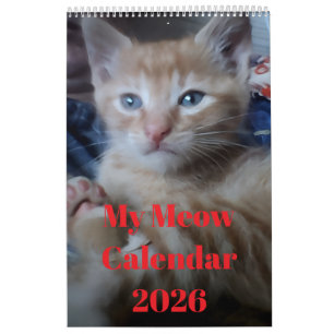 Katzenfoto-Zitate Anpassen Spaß Kalender
