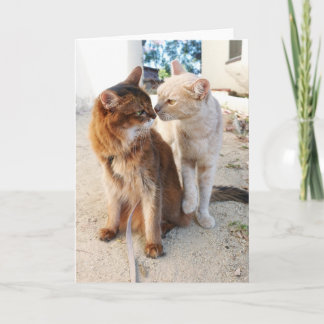 Katzenfreunde - Süße Katzenliebhaber-Romantik Karte