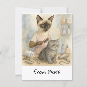 Katzenfriseur  postkarte