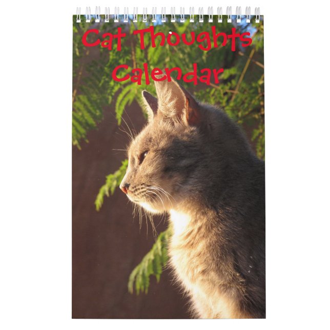 Katzengedanken Kalender (Titelbild)