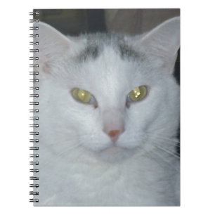 Katzengedanken Weiße Katze Notizblock