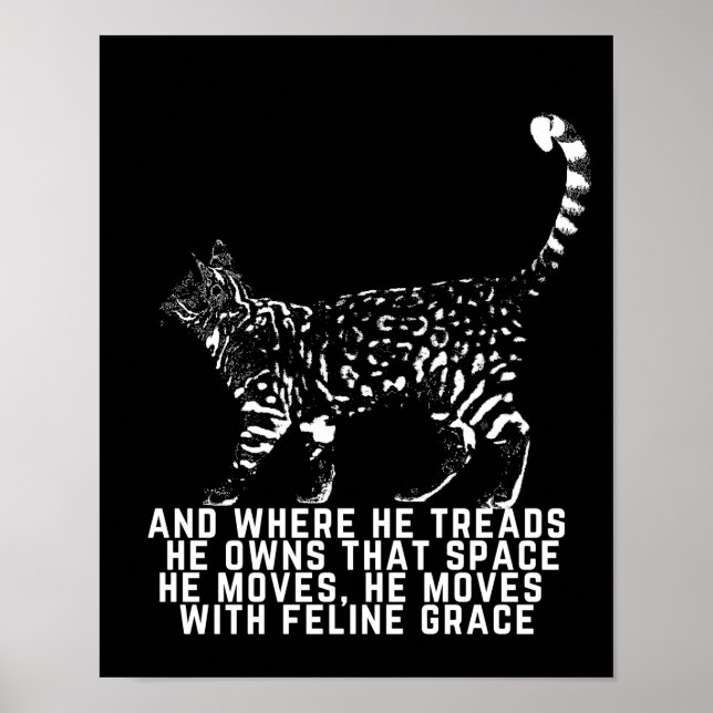 Katzengedicht Kontur mit Feline Grace schwarz Poster (Vorne)