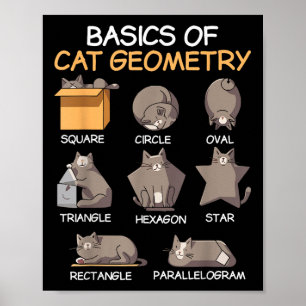 Katzengeometrie Math Funny Cat Geschenke für Katze Poster