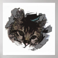 Katzengesicht - Augen von Katzenposter drucken - K