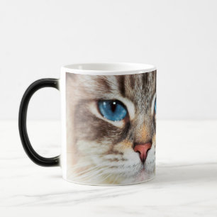 Katzengesicht   blaue Augen   Morphing-Tasse der V Verwandlungstasse