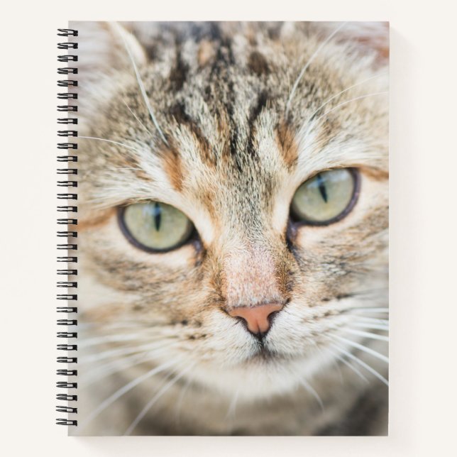 Katzengesicht Notizbuch (Vorderseite)