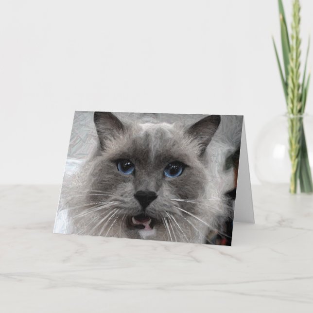 Katzengrußkarte Karte (Vorderseite)