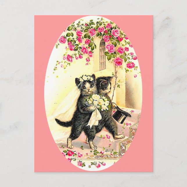 Katzenhochzeit Postkarte (Vorderseite)
