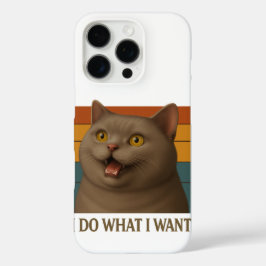 Katzenhöhe iPhone 16 Pro Hülle