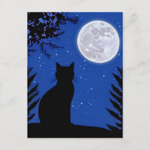 Katzenjacke am Vollmond Postkarte