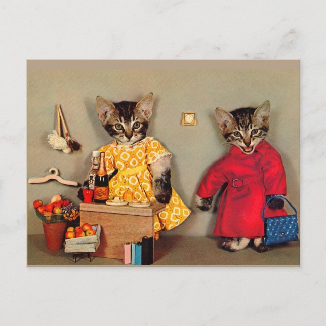 Katzenjammer und Kasse Postkarte (Vorderseite)