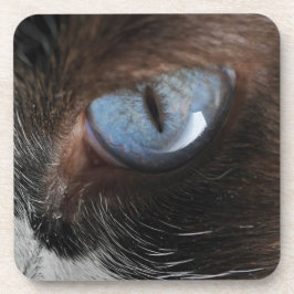 Katzenjammer Untersetzer