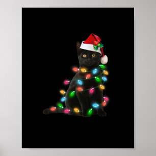 Katzenjunges Weihnachtslicht Katzenliebhaber Poster