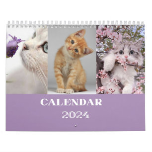 Katzenkalender 2024 - moderner Schnittkalender Kalender