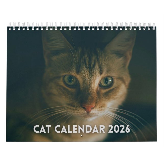 Katzenkalender 2026 kalender (Titelbild)