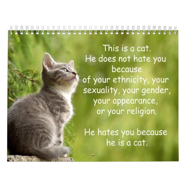 Katzenkalender Kalender (Titelbild)